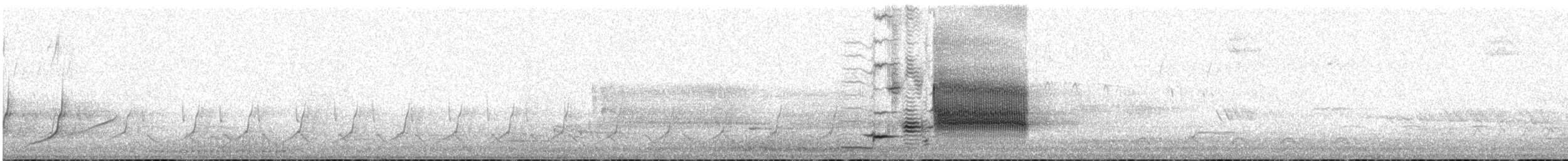 vlhovec červenokřídlý [skupina phoeniceus] - ML51790221