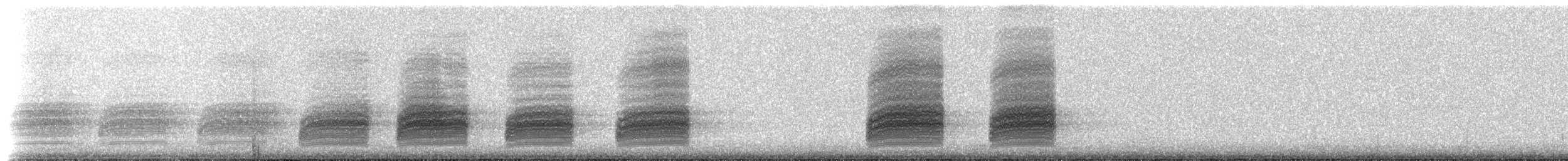 ťuhýk severní (ssp. borealis) - ML517909