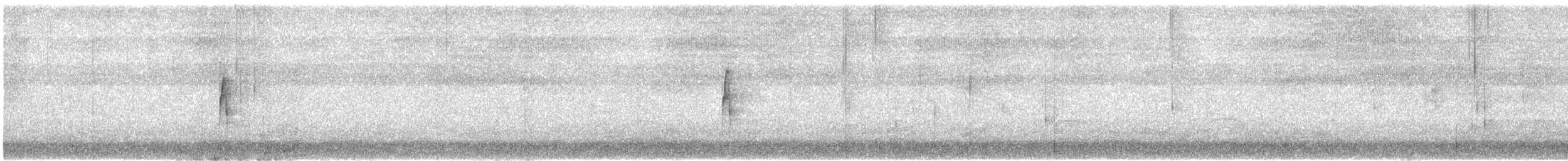 Buff-winged Cinclodes - ML517947231