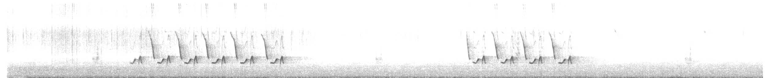 Karolina Çıtkuşu - ML517952811