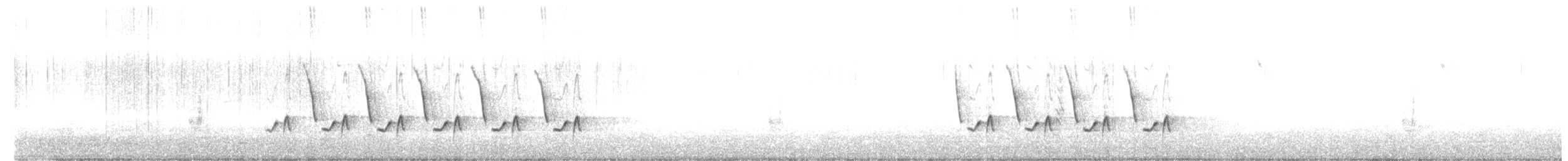 チャバラマユミソサザイ - ML517952811