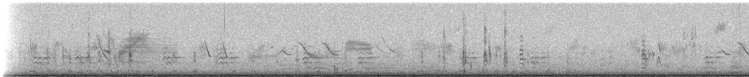 Red Shoveler - ML517958