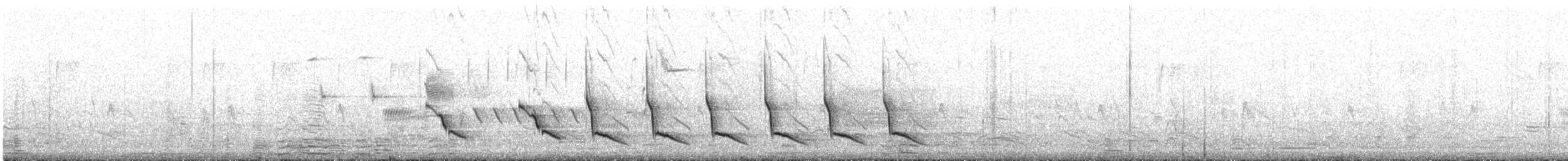 Northern Cardinal - ML51797761