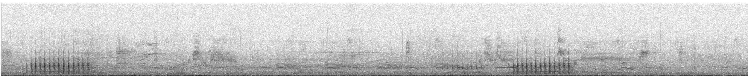 woodpecker sp. - ML51798751