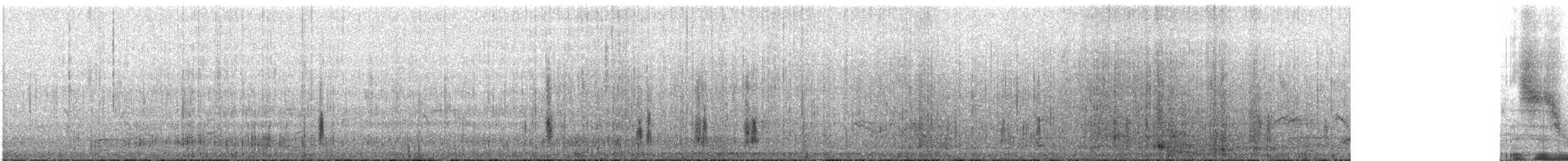 Rusty Blackbird - ML51799411