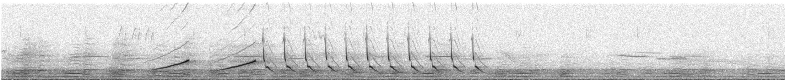 Northern Cardinal - ML51801381