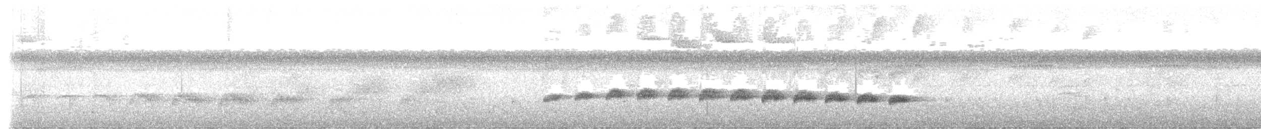 Schmalbrauen-Ameisenschnäpper - ML518016531