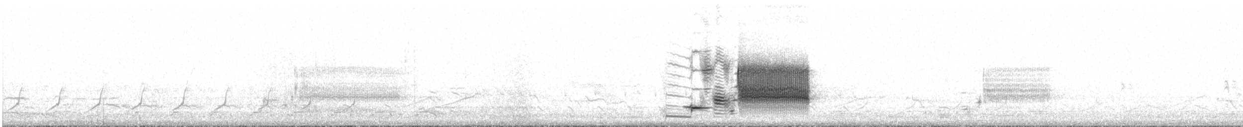 rødvingetrupial (phoeniceus gr.) - ML51801821