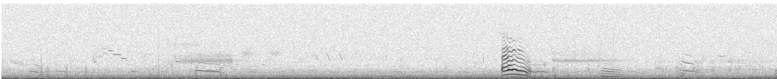 American Herring Gull - ML51802141