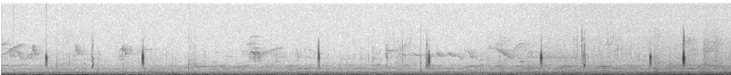 Rusty Blackbird - ML51802811