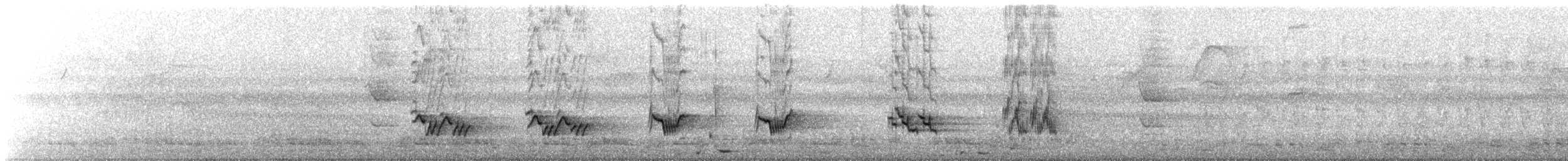Schwarzschnabeldrossel - ML518029081