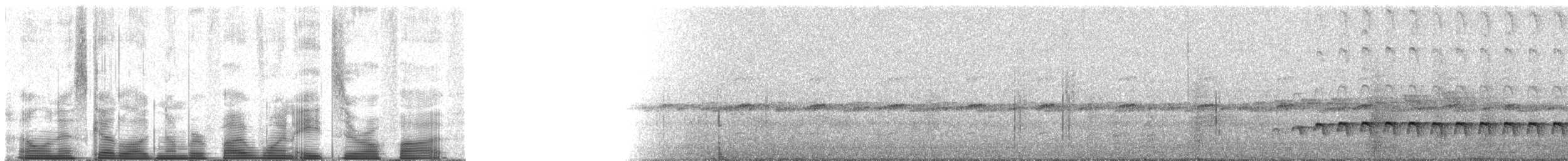 Western Fire-eye (maura Group) - ML51805