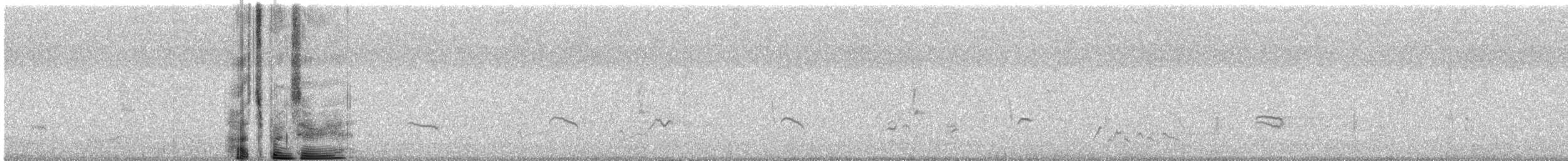 Northern Mockingbird - ML518068771