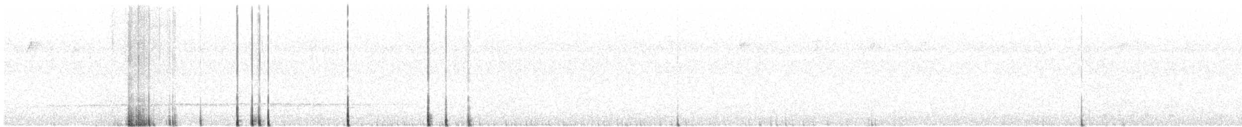 Pileated Woodpecker - ML51808601
