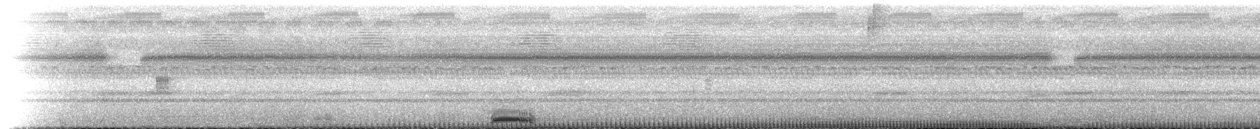 Molukken-Zwergohreule - ML518104