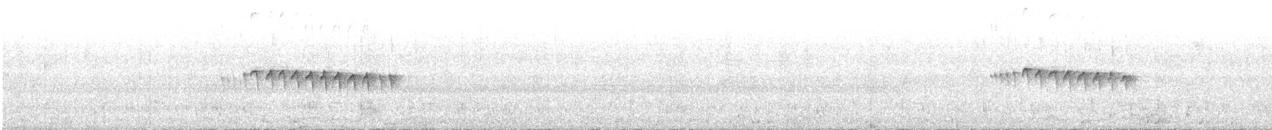 Kurzschwanz-Dickichtschlüpfer - ML518109321