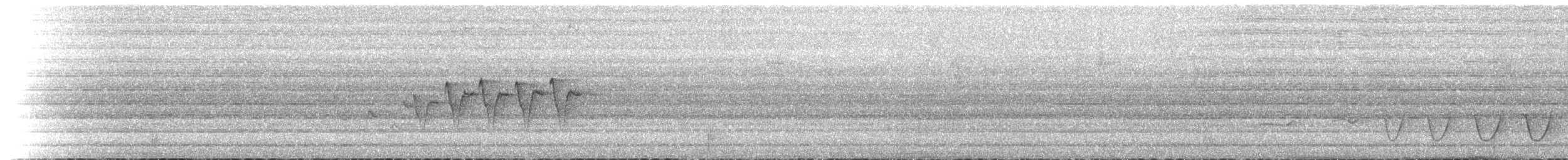 Insellaubsänger (ceramensis) - ML518120