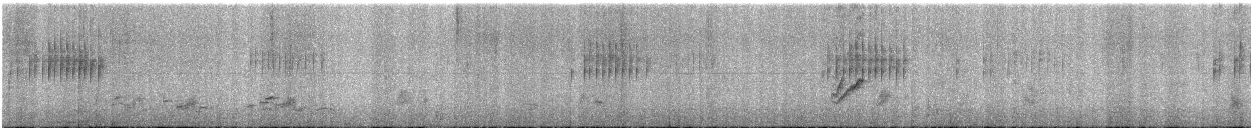 Blue-fronted Redstart - ML518122491