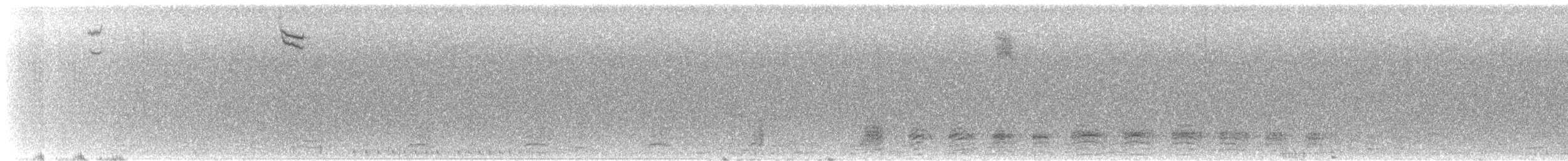 Острохвостая овсянка-барсучок - ML518150491