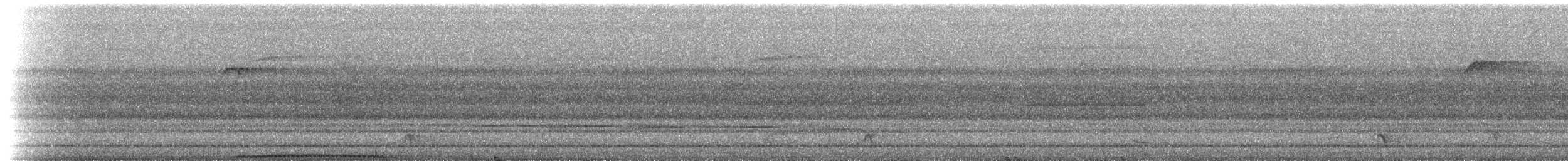 holub seramský - ML518202