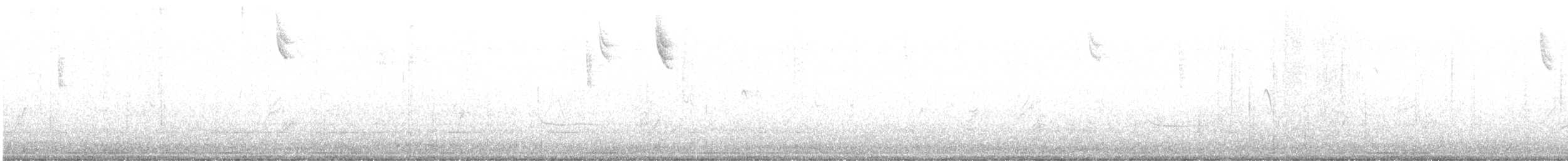 Savannah Serçesi [guttatus grubu] - ML518211811