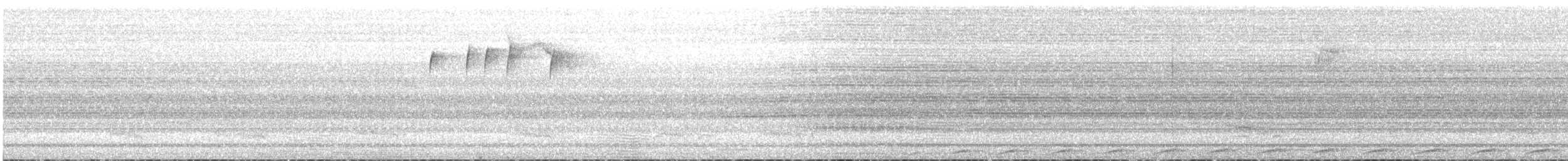 skjellstrupehonningeter - ML518219