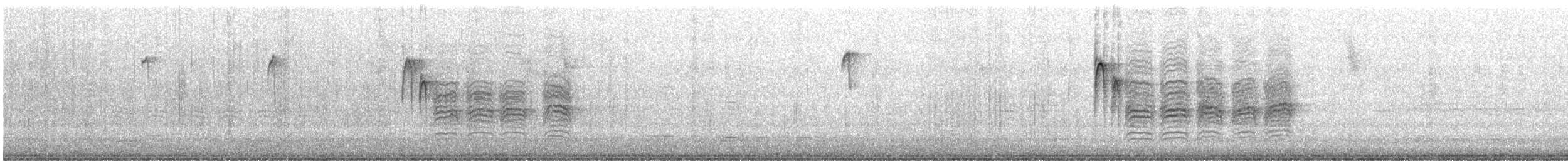 Black-capped Chickadee - ML518227561