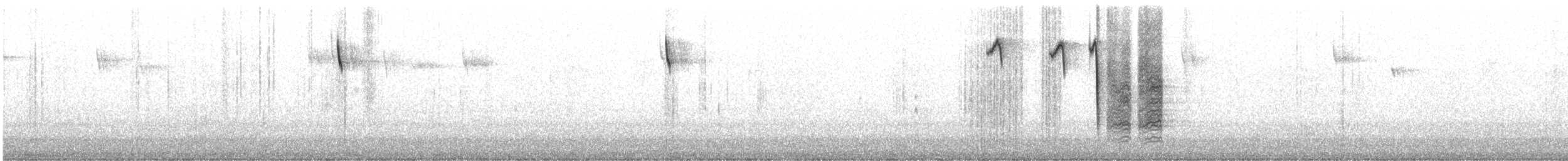 Tufted Titmouse - ML518227621