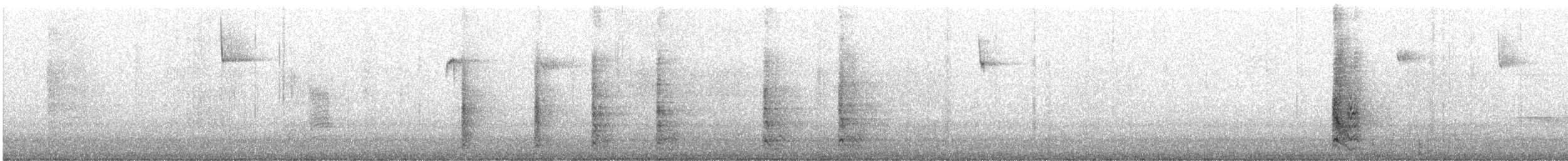 Red-bellied Woodpecker - ML518227671