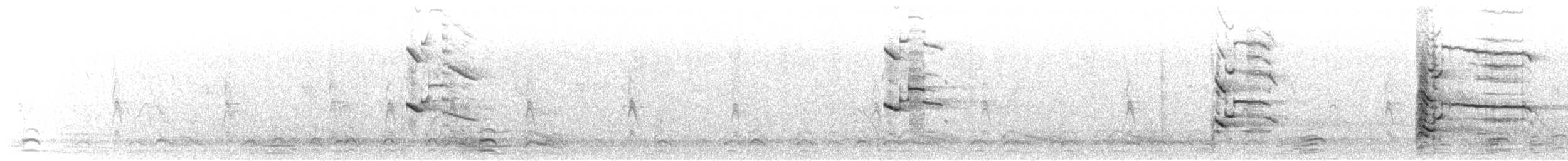 Ring-billed Gull - ML518286921
