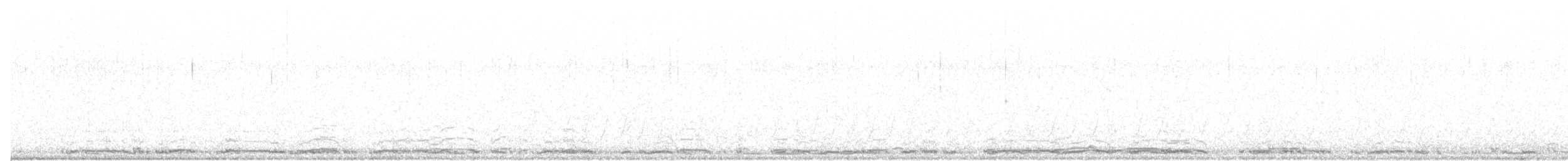 Cygne siffleur - ML51828701