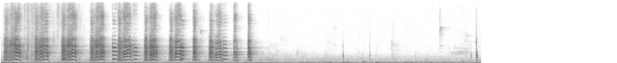 American Coot - ML518294741