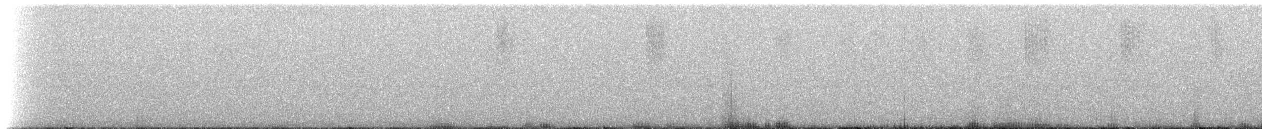 Çatal Kuyruklu Ormanperisi - ML518295