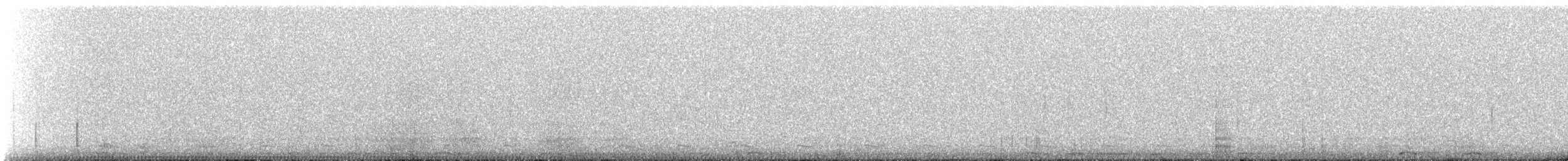 Сичик-горобець гірський (підвид cobanense) - ML518310071
