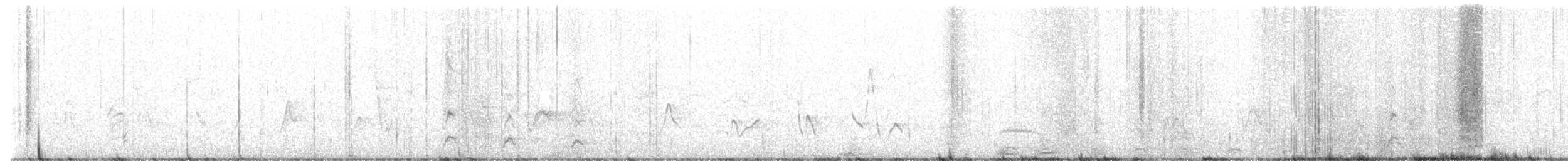 Cigno collonero - ML518340411