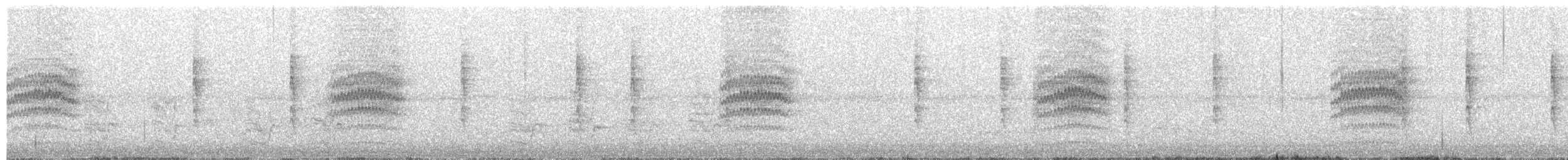 Turuncu Gagalı Bülbül Ardıcı - ML51834171
