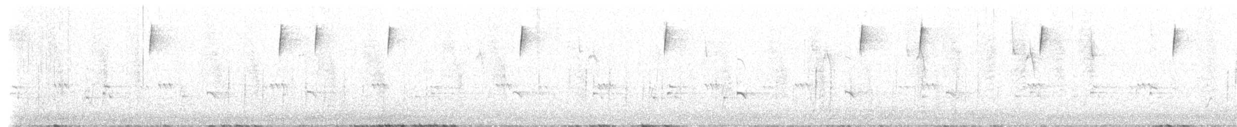 Band-tailed Sierra Finch - ML518341861
