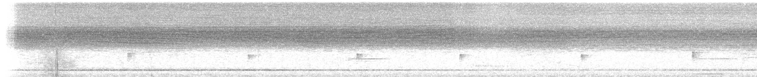 tyranovec olšový - ML518376721