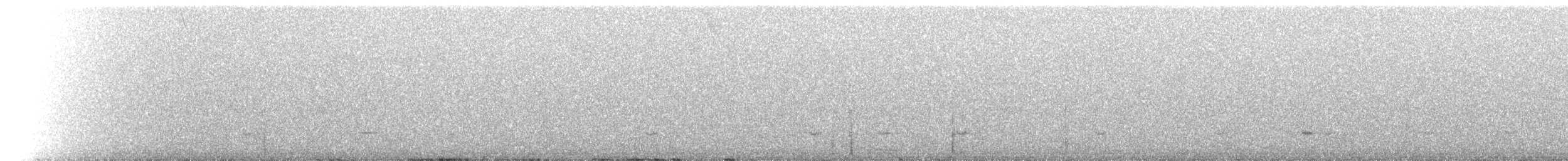 Tinamou à petit bec - ML518380
