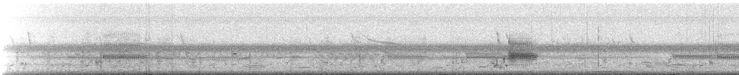 King Rail - ML518399241