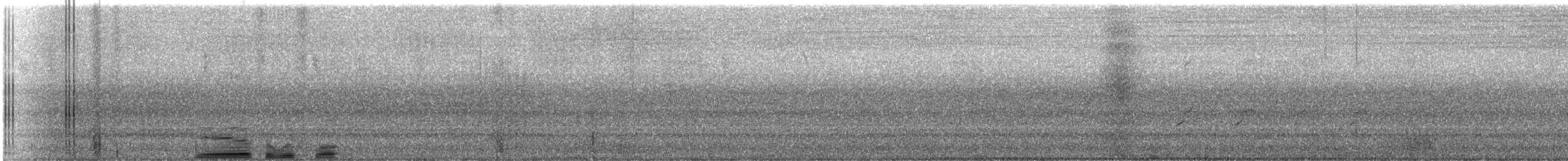 Яструб тасманійський - ML518470001