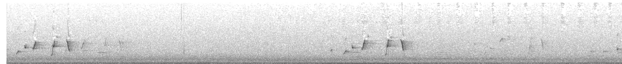Чёрно-белая веерохвостка - ML518477771