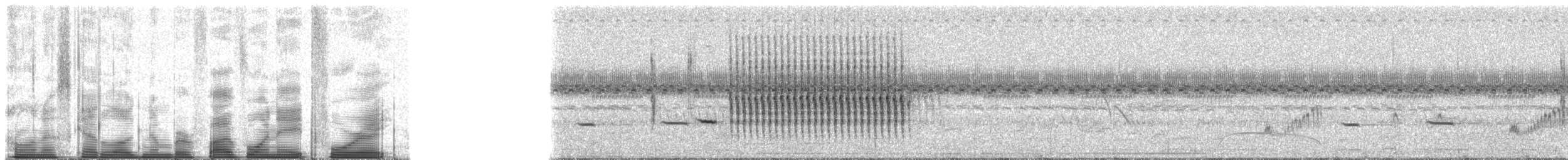 Травяной крапивник (platensis/polyglottus) - ML51848