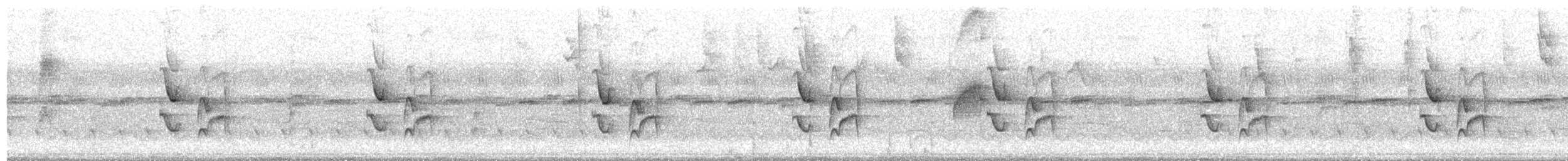 Graustirn-Dickichtschlüpfer - ML518500281