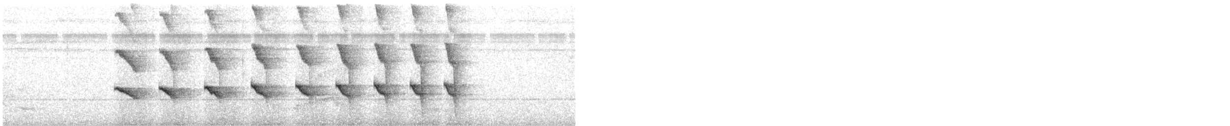 Nacktstirn-Ameisenvogel - ML518513791