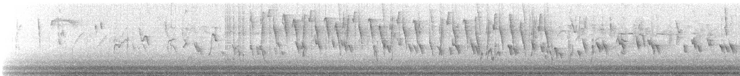 Stahlhakenschnabel - ML518519371