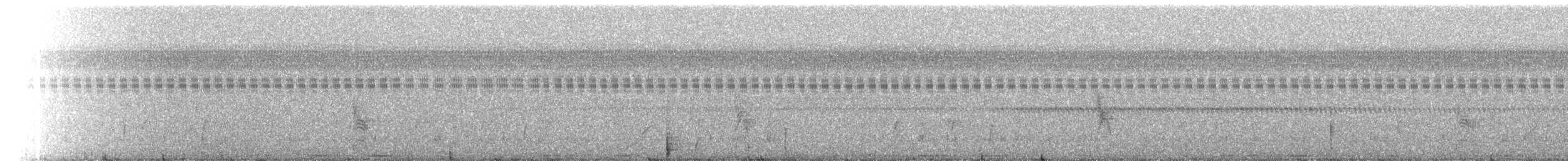 Nacunda Nighthawk - ML518528