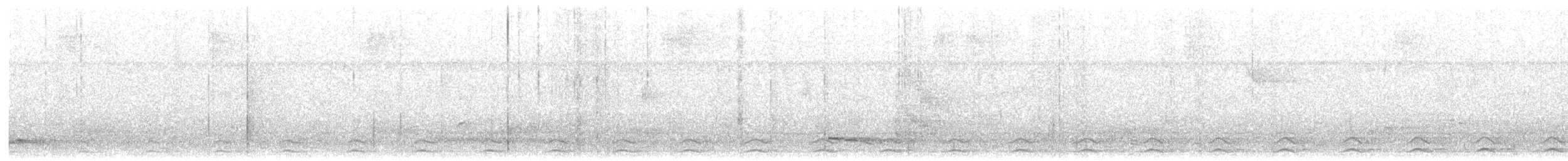Black-tailed Trogon - ML51853571