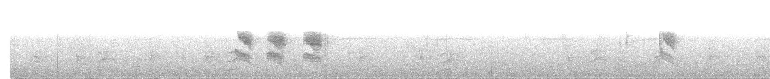 Star-throated Antwren - ML518591731