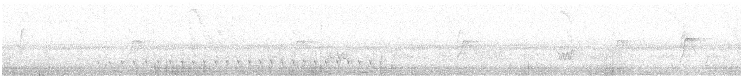 ズキンヒメアリサザイ - ML518596361